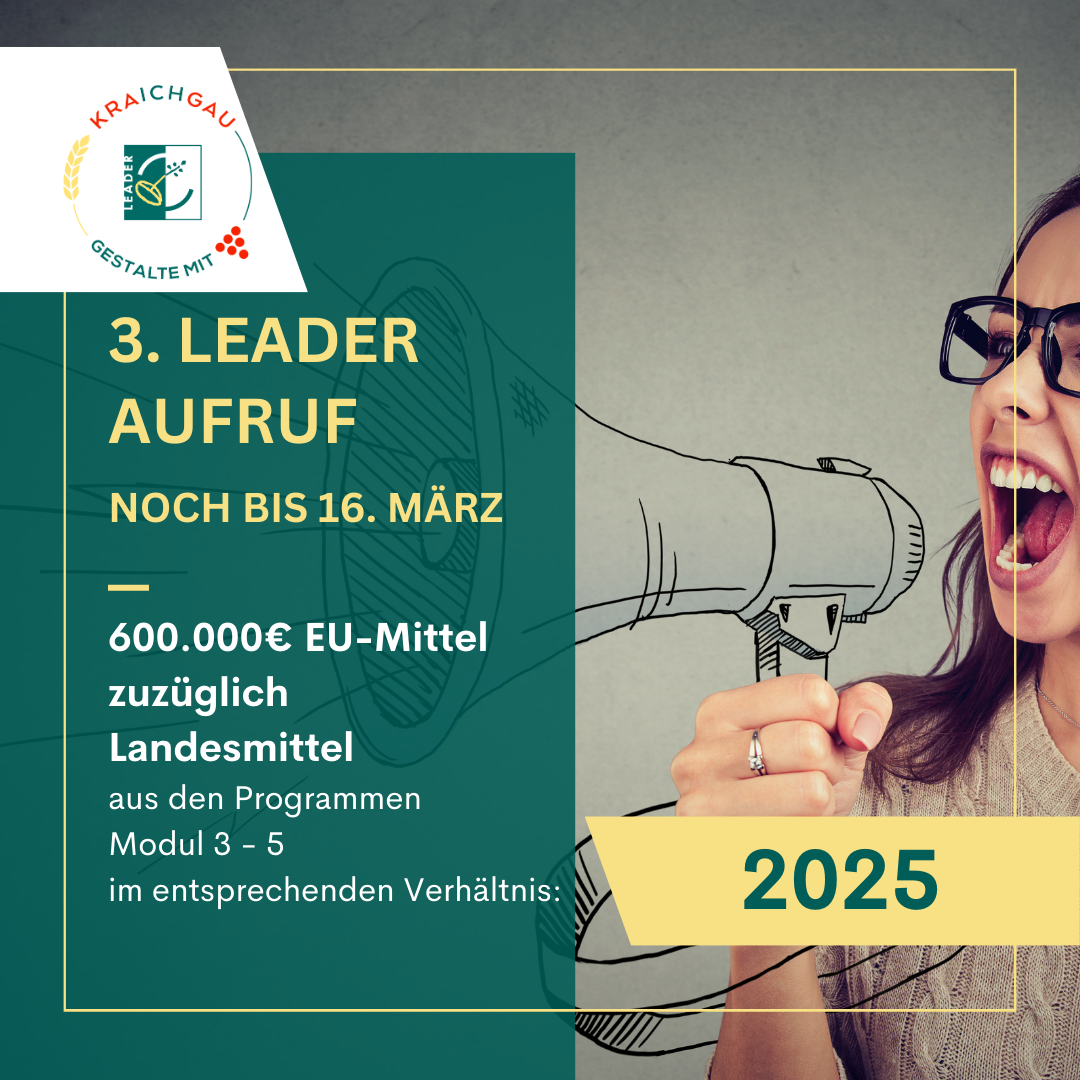 Mehr über den Artikel erfahren Informationen zu den Modulen des LEADER-Förderprogramms