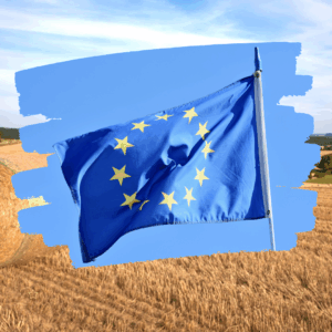 Mehr über den Artikel erfahren Zukunft von LEADER ab 2028: Erste Weichenstellung auf EU-Ebene