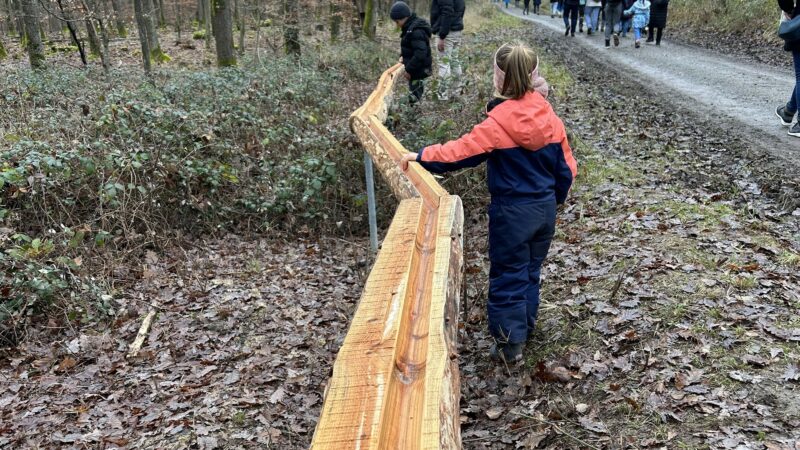 Waldmurmelbahn Oberderdingen