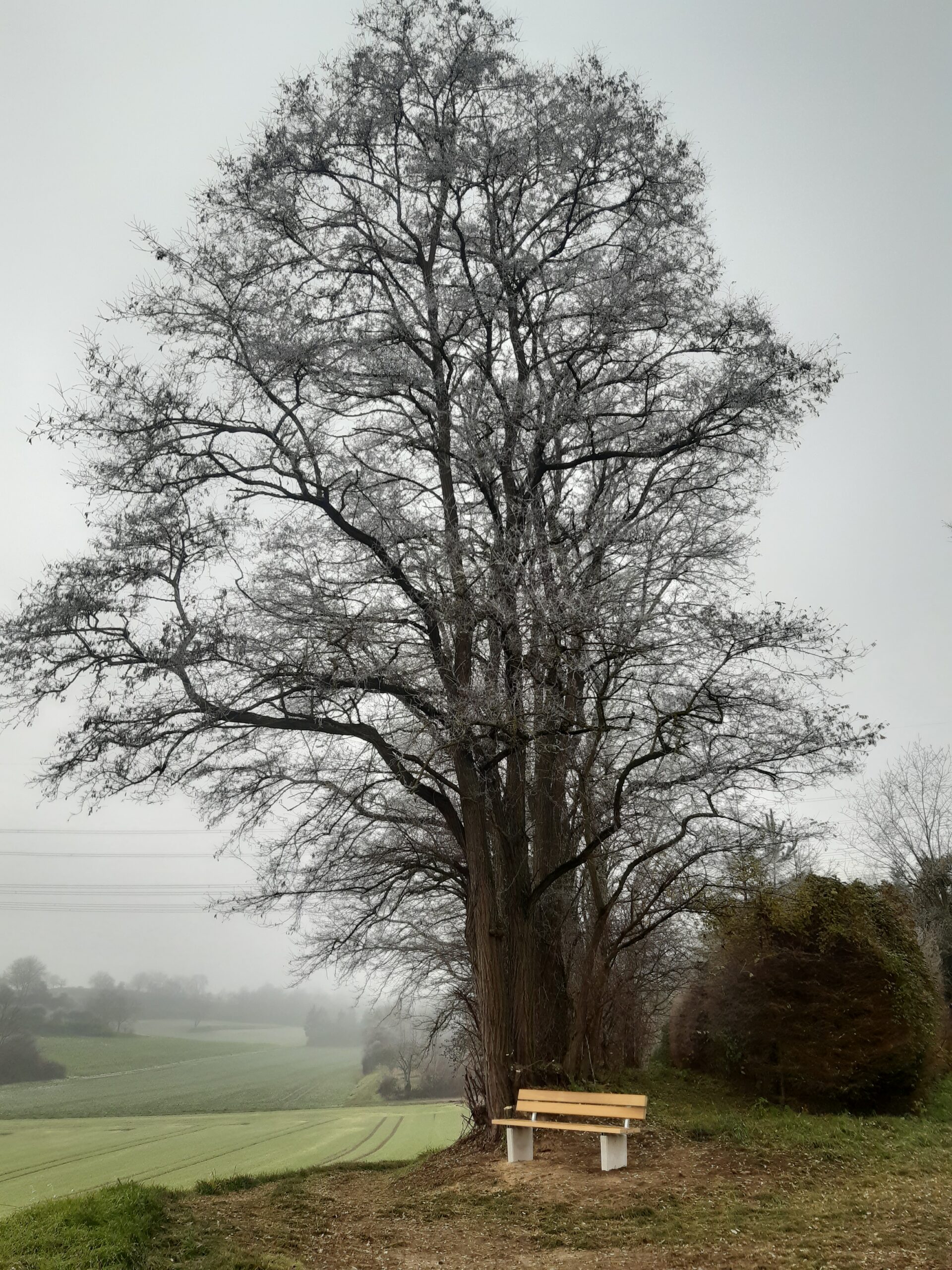 Bnke_Angelbachtal