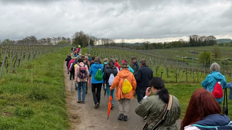 wanderwegebeschilderung-oestringen-einweihung-wanderlust (6)